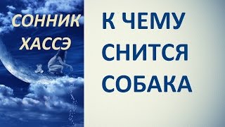 К чему снится собака. Сонник Хассэ. Толкование снов.