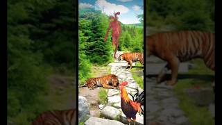 The Chicken vs Sirenhead & Tiger|Funny VFXvideo create#shorts#viral#chicken#sirenhead#tiger#omvfx...