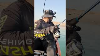 Quick catch and release. #subscribe#kayakfishing #abudhabi#fishing #adventure#dubai#uae #fypシ゚viral