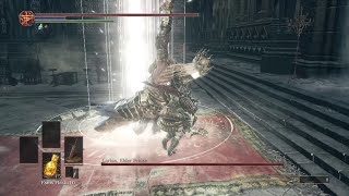 Dark Souls III "Lorian and Lothric Boss Fight (NG4)"