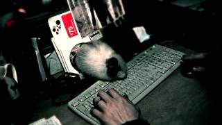 Truffle the Bunny helps type.