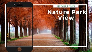 15 min Nature Park view  and Relaxation Music 2022