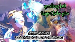 gandang keli lanjut kebo giro //setyo budoyo// semayu selomerto wonosobi