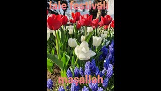 #lale #çiçek #tulipa #lalefestivali #tulip LALE FESTİVALİ İSTANBUL EMİRGAN PARKI ( VİLOG 1 )