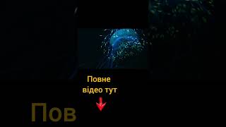 Сяйво життя: таємниці світіння тварин і рослин 🌌✨