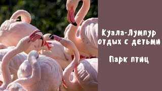 Куала Лумпр (часть 2)| Парк птиц| Куда пойти с детьми