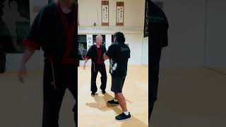 Reverse Sinawali Application #short #shorts #filipinomartialarts #martialarts #fma #modernarnis