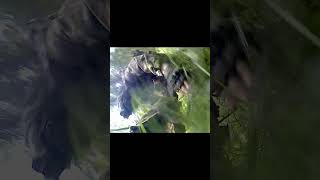 This Airsoft Sniper VANISHED! #shorts #airsoft #fail