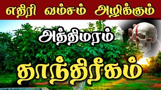 ethiri alikkum thaanthirigam எதிரி அழிய t#ஸ்ரீபத்ரகாளியம்மன்#சக்தி#பீடம்.        Kali manthirigam/