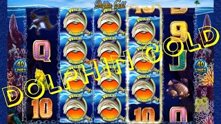 Du "BIG-WIN" pour un Round-2 sur la machine à sous Dolphin-Gold