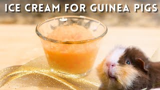 Healthy Homemade Ice Cream for Guinea Pigs - the Perfect Summer Treat!