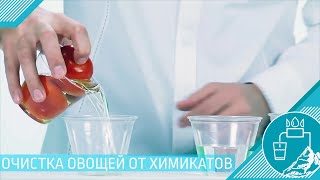 Очистка овощей от пестицидов - ионизированной турбо-щелочной водой.