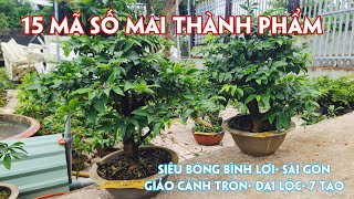 09/10. Mai Để Bàn Nhiều Loại Giá Rẻ.☎Trang 0359910781