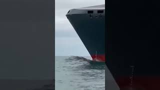 Bulbous Bow in Action🌊🚢