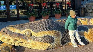 Family Day at Turtle Back Zoo | Alvi’s First Time Meeting A Jaguar