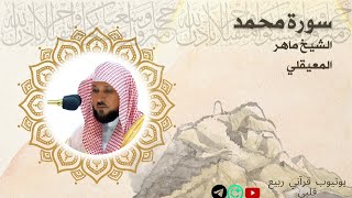 سورة محمد مكتوبة ماهر المعيقلـي - Surat MUHAMMAD Maher al Muaiqly