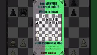 #Chesspuzzle 856