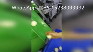 continous10-500g dough divider rounder and aranging machine  for bread toast and also pizza base