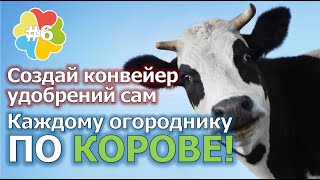 #6 Органическое супер удобрение своими руками. Недорого! Очень просто. Дачная корова