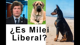 Milei será LIBERAL si se lo exigen