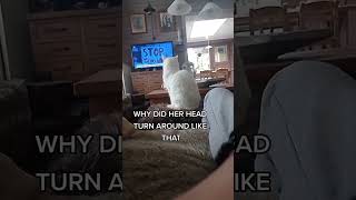 Why Did She Turn Around Like That? Tiktok peoplesmellbad