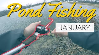 Catching Pike in a neighborhood pond while bass fishing in January!