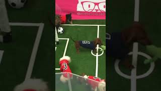 FIFA testing on dogs 🤫🧏‍♂️ (joke) #memes #trending #viral #fyp