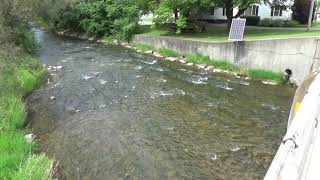 World's first solar-powered creek (?!!?).