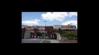 The Doomben Line Brisbane's Part Time Railway. #shorts #australiantrains #queenslandrail #train