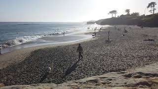 Friday Evening Dog Beach Raw Surf Video