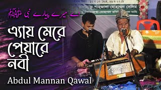 Ay Mere Peayre Nabi ﷺ | এ্যায় মেরে পেয়ারে নবী ﷺ | Abdul Mannan Qawwal