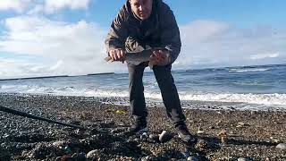 Pesca de robalos con lombriz de mar...