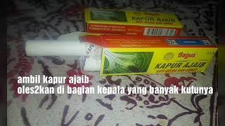 Obat ampuh membasmi Kutu Rambut(tumo)