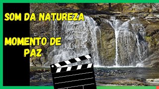 Som da natureza | Momento de paz | Som de alívio | 1h