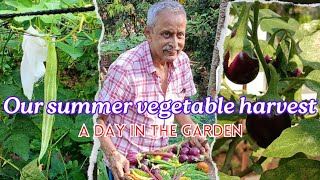 The Amazing Bounty of a Summer Vegetable Garden Harvest | Harvesting from our Parents Garden