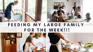 BIG FAMILY Dinners on a budget!!