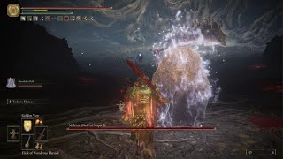 Elden Ring Boss Fight