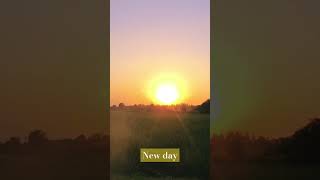 #video new day