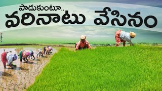 నాటు వేసినం|| vari naatu vesinam||village nature|| village folk song|| by Raghu cinema