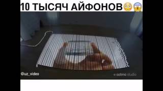 Айфоны могут больше чем ты думаешь! Посмотри что можно сделать ради спора!!!