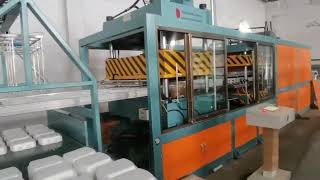 PS fast food box dispsoable foam plates food tray machine polystyrene foam dish production line