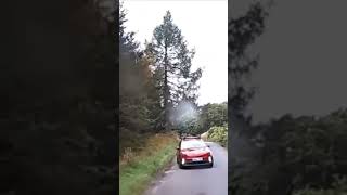 BMW m140 doing donuts in public road #dashcamvideos #dashcam #dashcamera #dashcams #bmw