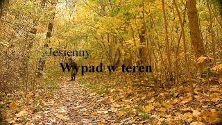 Wypad w teren- Jesień