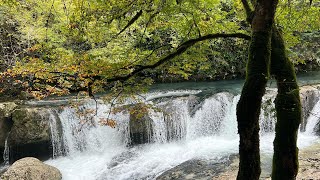 ജോർജിയയിലെ  ഒരു മനോഹര ഗ്രാമം |Georgia's Martvili Canyon | Must-see places in Kutaisi #georgia   🇬🇪