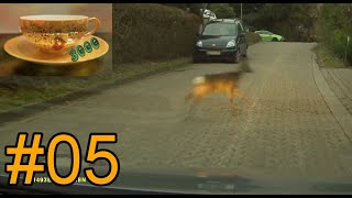 #05 Auf Ausfahrt mit Sascha. Sascha übersieht ein Reh und ich zwinge ihn zum Laufen. #5