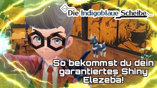 So bekommst du dein garantiertes Shiny Elezeba! Pokemon Karmesin Purpur DLC die Indigoblaue Scheibe