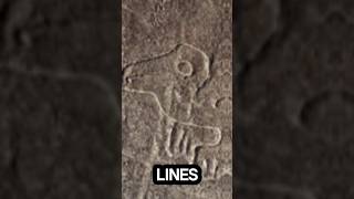 Lines of Nazca.. #facts #funfacts #shortfacts #interestingfacts #foryou #randomfacts #fyp