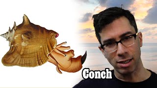 What the hell are Conch?