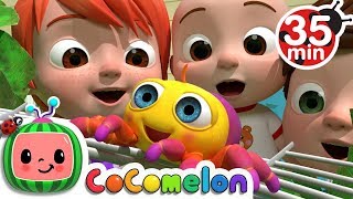 Itsy Bitsy Spider + More Nursery Rhymes & Kids Songs - CoComelon