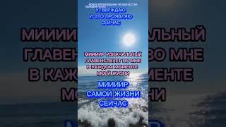 СВЕТ МИИИИРА